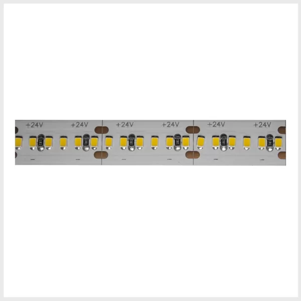 LDPB22161824300R Tira extraplana, de led 2216 5 m con 300 leds por m - Imagen 2